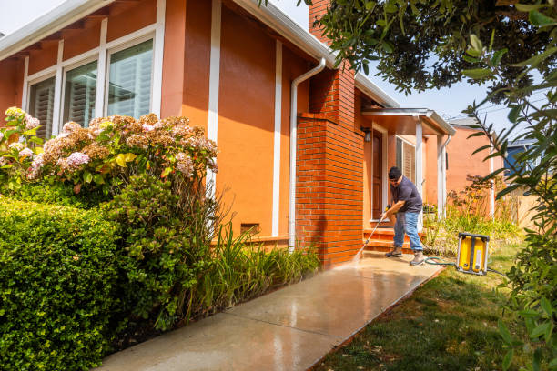 Best Exterior Home Cleaning  in Fernley, NV