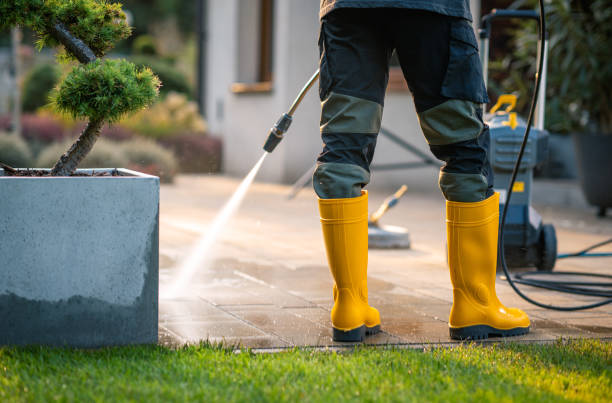 Best Pressure Washing Company Near Me  in Fernley, NV